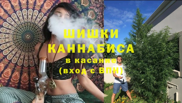 ГАЛЛЮЦИНОГЕННЫЕ ГРИБЫ Абинск