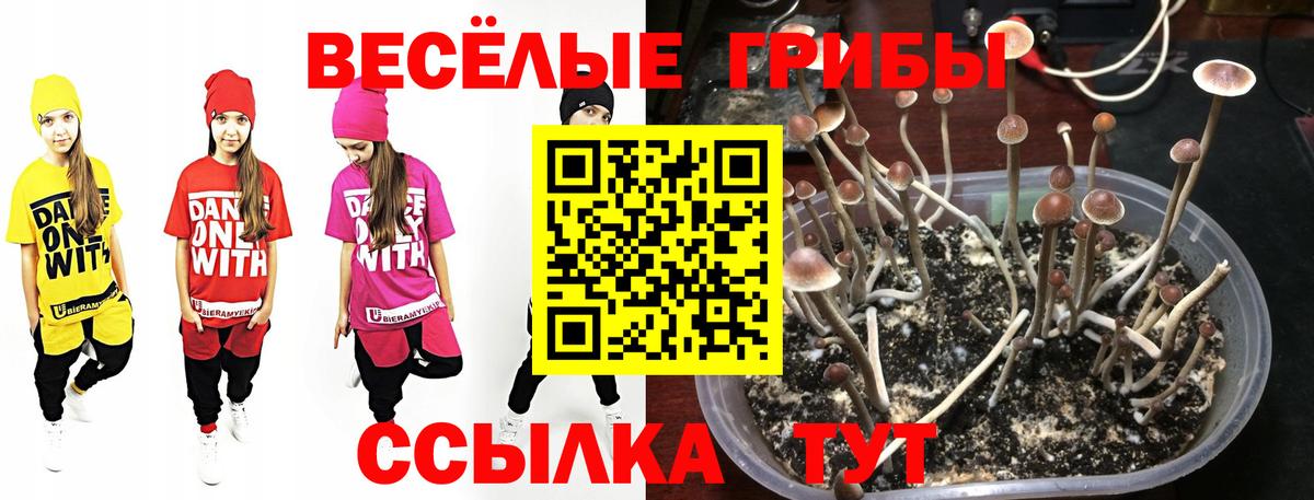 Псилоцибиновые грибы мицелий  Вход с VPN  Вичуга 