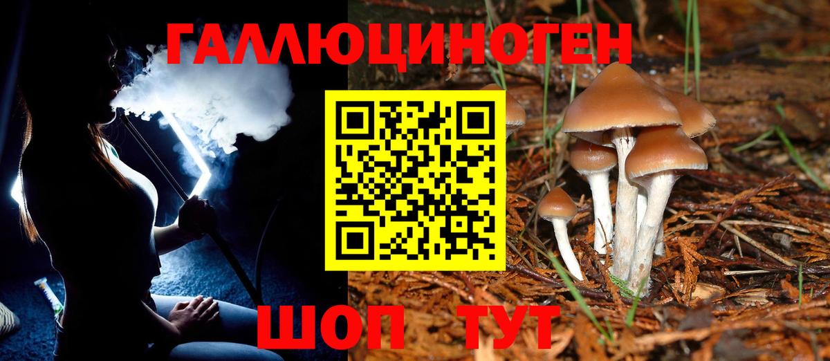 Псилоцибиновые грибы Psilocybine cubensis Вичуга
